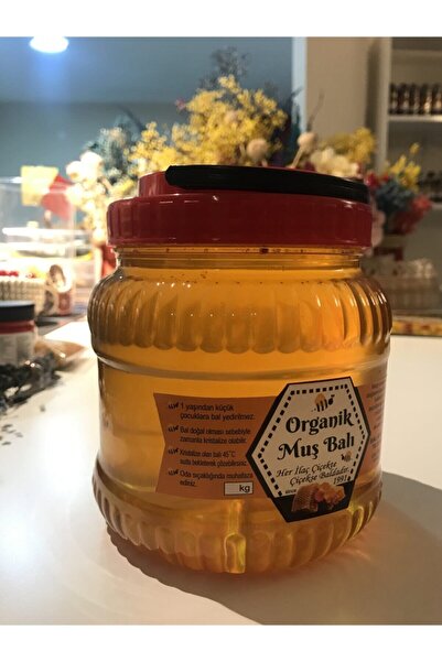 BALSAN Organik Karakovan Süzme Bal (2 KG) 2022 Yeni Sezon