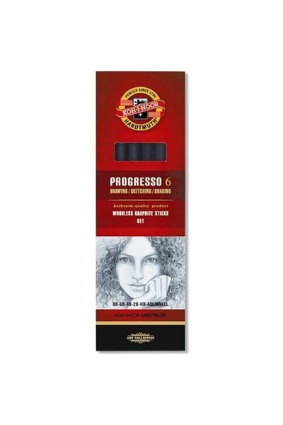 Koh-i Noor Progresso Woodless Graphite Charcoal Pencil SET OF 6