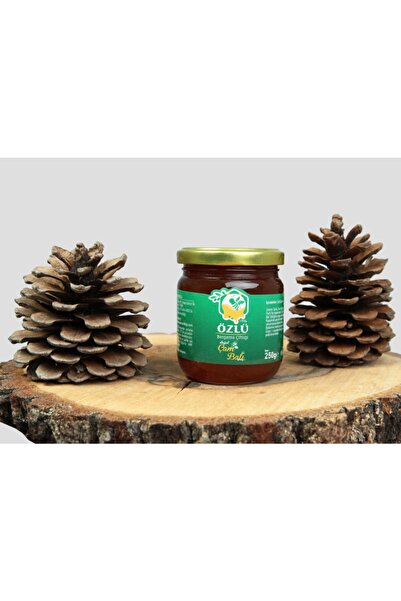 Çam Balı 250 Gr