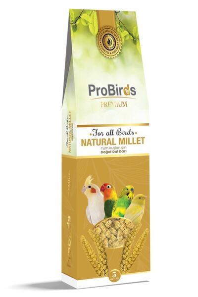 PRO BİRDS Doğal Dal Darı (sarı) 5 Adet