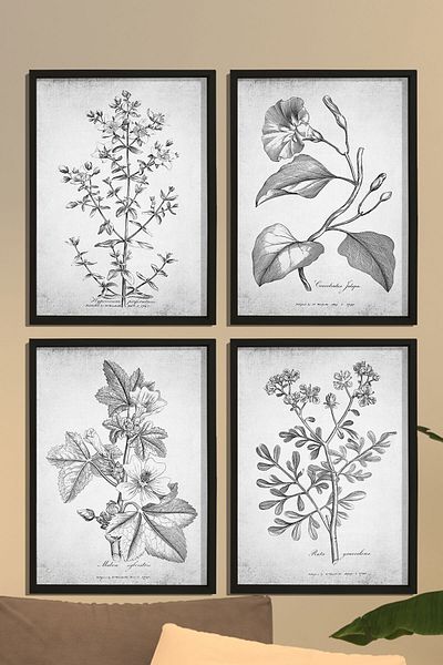 Dekor Loft Set de 4 tablouri de perete cu rame din pin natural, plante antice