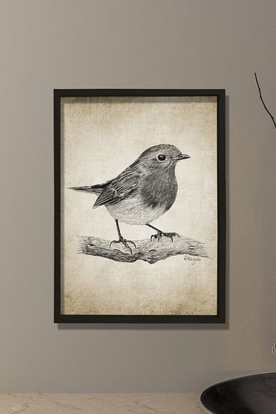 Dekor Loft Pictură de perete cu ramă de pin natural Robin Bird Desen creion