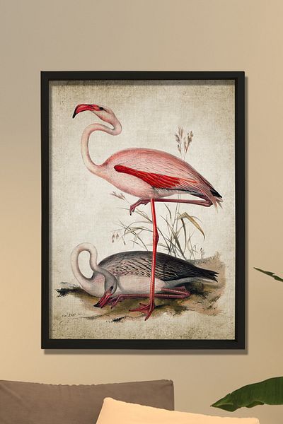 Dekor Loft Ζωγραφική τοίχου με φυσικό πεύκο Αντίκα Flamingo