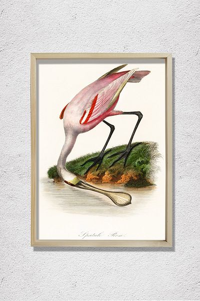Dekor Loft Pink Spoonbill 1842 Pictură murală din lemn natural