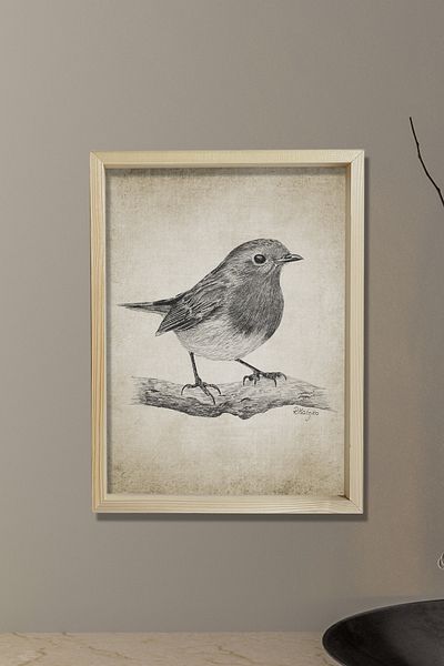 Dekor Loft Pictură de perete cu ramă de pin natural Robin Bird Desen creion