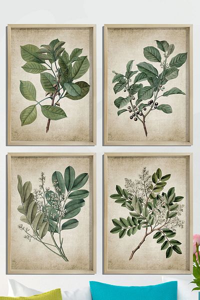 Dekor Loft Set de 4 picturi murale cu rame din pin natural, plante verzi antice