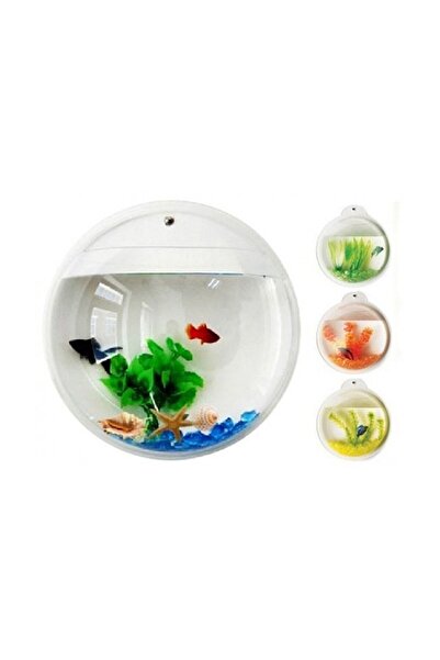 dayıpet Duvar Tipi Fanus Akvaryum