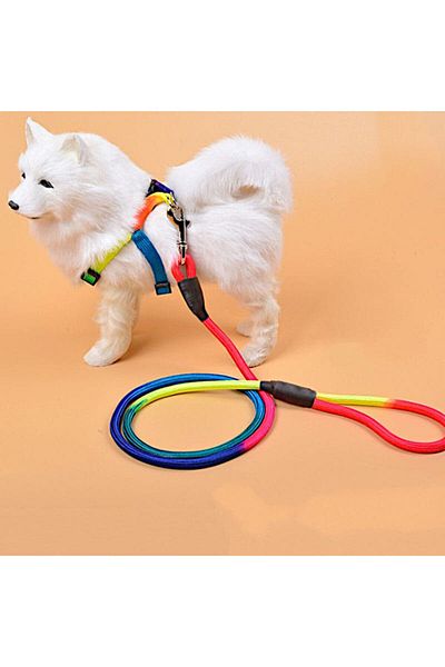 Ans Rainbow Rope Terier Dog Suit Chest and Walking Leash (SMALL=8KG,MEDIUM=12KG,LARGE=16KG)