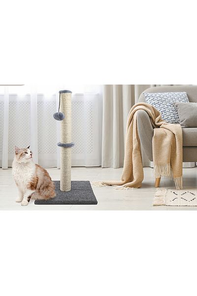 Nursoft Xl Cat Scratching