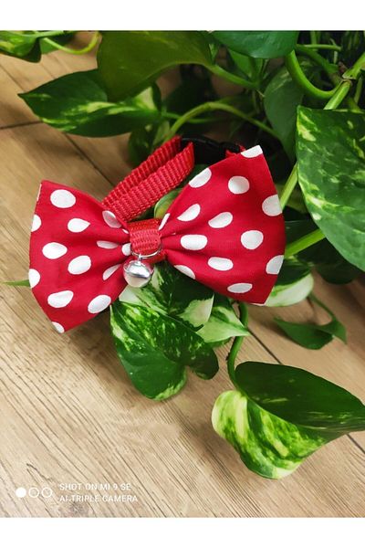 DECORTEX Leonis Cat Collar with Scarf, Rattle and Bow Tie Collar