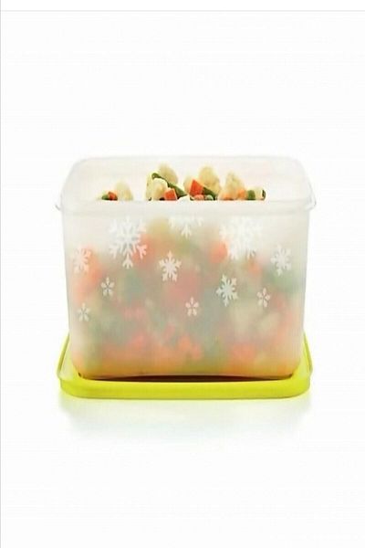 Tupperware 2.5 Lt. Alaska Freezer