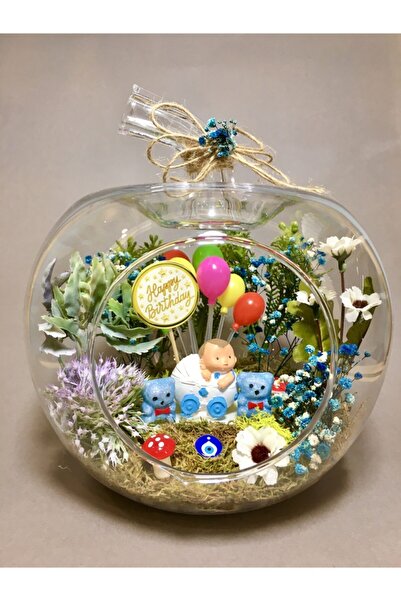 Favori Çiçek Hoşgeldin Bebek Teraryum