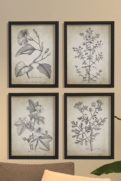 Dekor Loft Set de 4 tablouri de perete cu rame din pin natural, plante antice