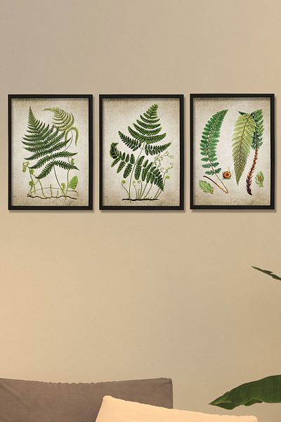 Dekor Loft Pictură de perete cu rame din pin natural Artă antică cu plante de ferigă