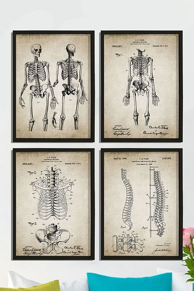 Dekor Loft Set de 4 tablouri de perete cu cadru de pin natural Anatomie umană