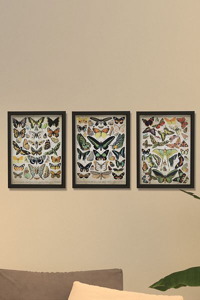 Dekor Loft Pictură murală înrămare din pin natural Pictură murală imprimare artă fluture antic