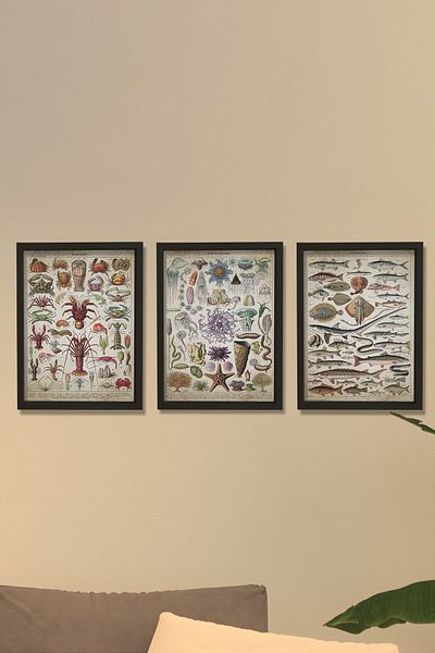 Dekor Loft Pictură murală pentru cameră de marinar cu cadru de pin natural Biologie marină - Osinografie