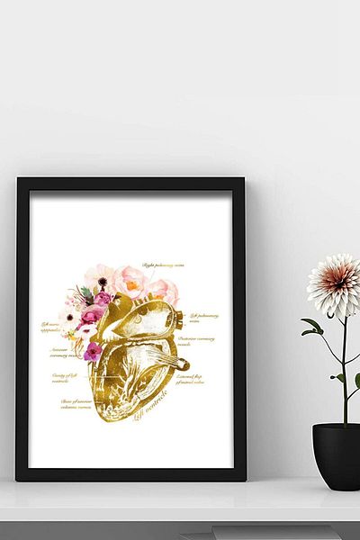 Dekor Loft Artă inimii, anatomia organelor umane, pictură murală pentru camera medicului cardiolog