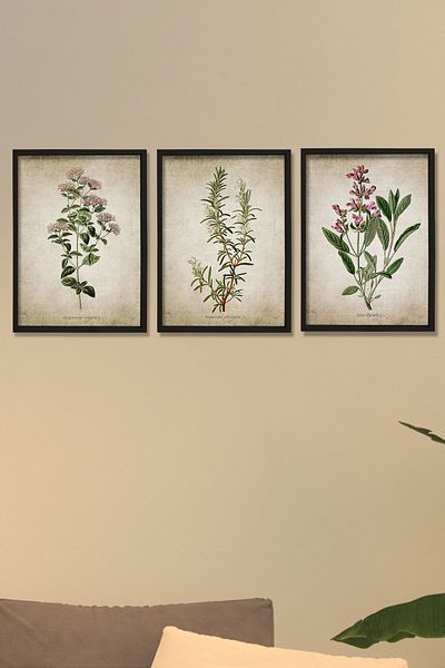 Dekor Loft Pictură de perete de bucătărie cu rame din pin natural Ancient Thyme, Rosemary, Sage
