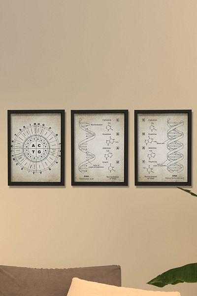 Dekor Loft Diagramă de perete cu cadru de pin natural Set de coduri genetice antice Dna și Rna