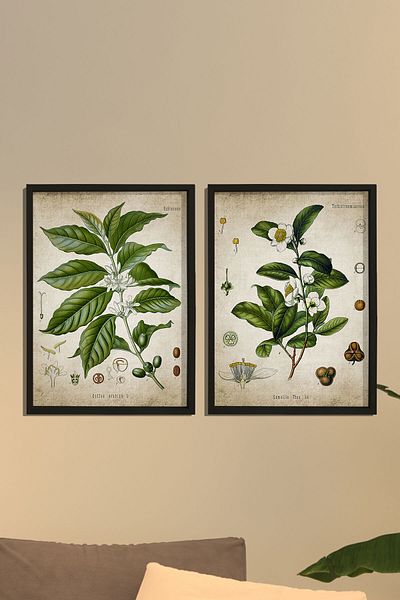 Dekor Loft Ζωγραφική τοίχου κουζίνας με φυσικό πεύκο Αντίκες φυτά τσαγιού και καφέ