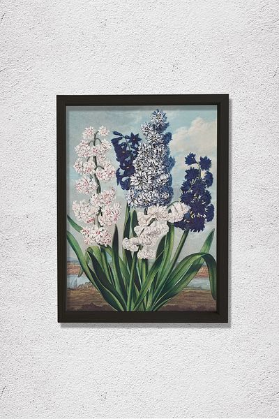 Dekor Loft Hyacinth din Templul Flora 1807 Pictură murală din lemn natural