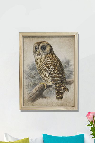 Dekor Loft Pictură de perete cu ramă de pin natural Bufniță antică