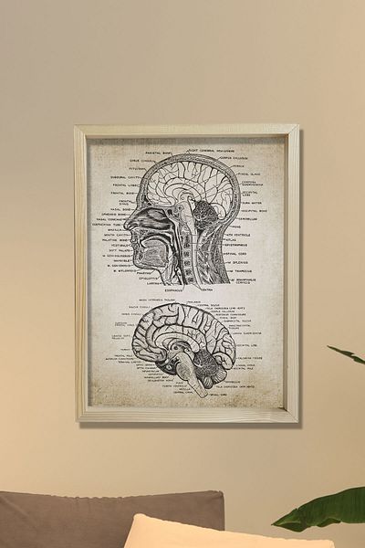 Dekor Loft Ζωγραφική τοίχου με φυσικό πεύκο Ανατομία κεφαλιού και εγκεφάλου