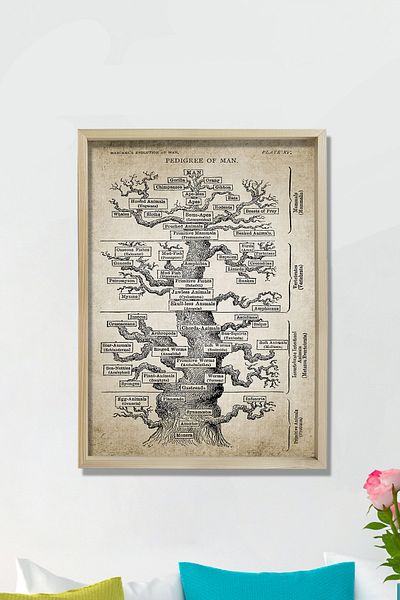 Dekor Loft Pictură de perete cu ramă de pin natural Haeckel Tree Evolution Print