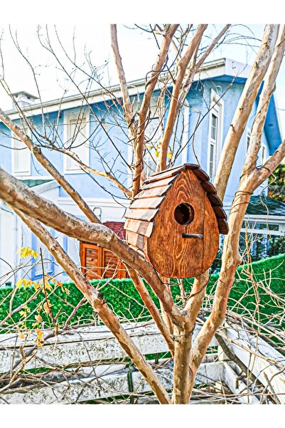 Platanus Peyzaj Ahşap Kuş Evi