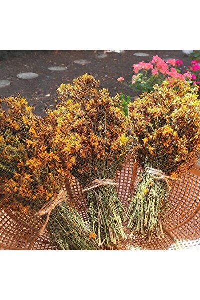bidolusevgi Kantaron Çiçeği 50 gr