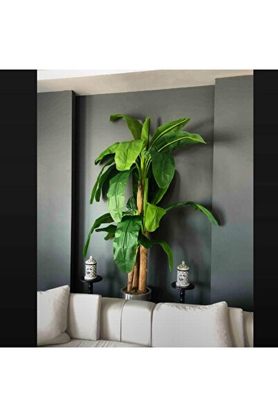 İremÇiçekçilik 220 Cm Dev Boy Muz Ağacı Yapay Ağaç Muz Ağacı