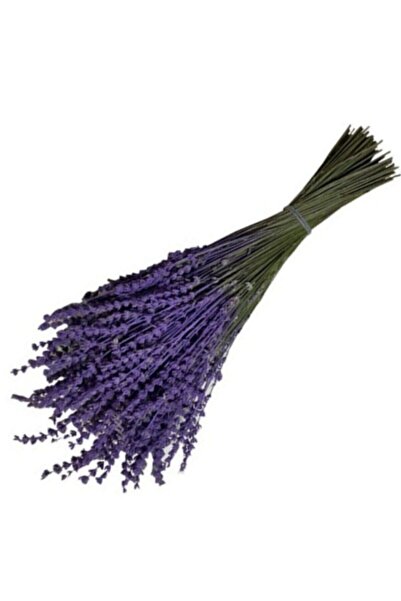 Lavanta Koleksiyonu .Ispartamdan Dökülmeye Dayanıklı Gerçek Lavanta Demeti Mo...