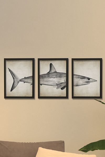 Dekor Loft Pictură de perete cu rame din pin natural Mako Shark Triptic