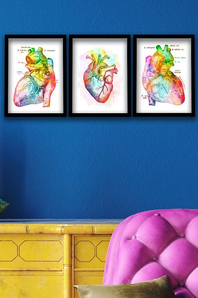 Dekor Loft Diagramă anatomică, anatomie a inimii, inimă, cardiologie Diagramă de perete 3 buc.