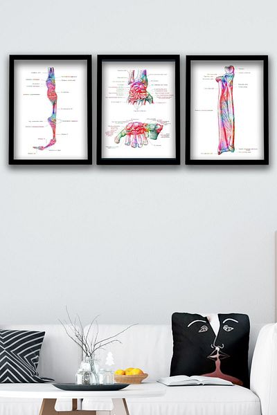 Dekor Loft Diagramă anatomică, oasele mâinii, ortopedie, diagramă de perete pentru camera medicului 3 buc