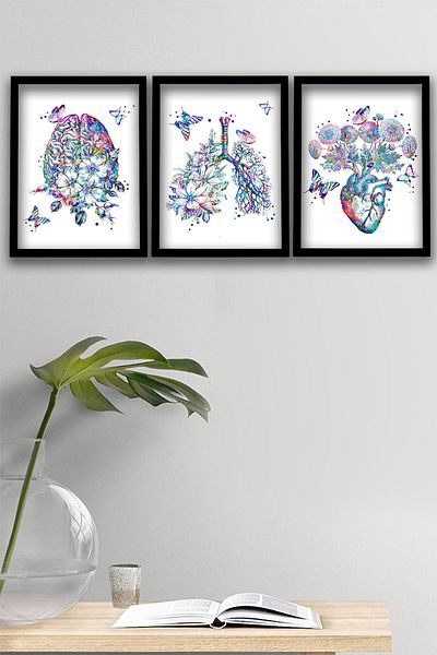 Dekor Loft Diagramă anatomică, anatomie a inimii, inimă, cardiologie Diagramă de perete 3 buc.