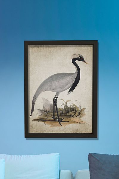 Dekor Loft Pictură murală cu ramă de pin naturală Păsări de turnare