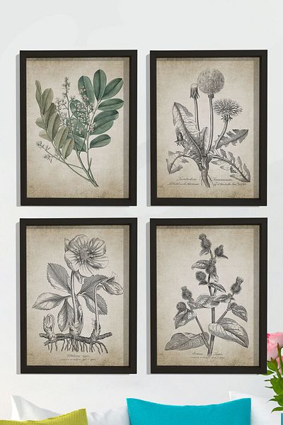 Dekor Loft Set de 4 tablouri de perete cu rame din pin natural, plante antice