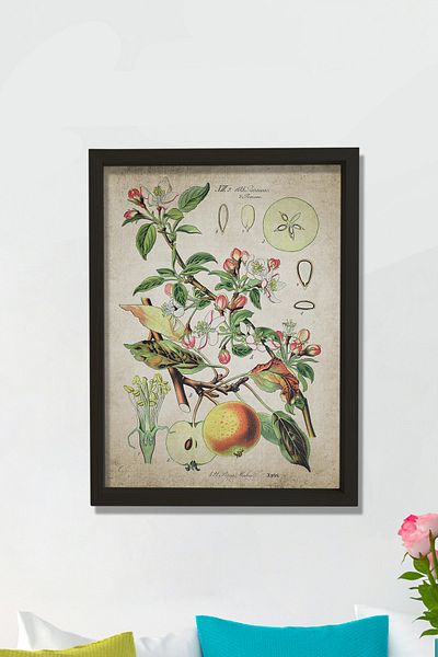 Dekor Loft Pictură de perete de bucătărie cu cadru de pin natural Măr antic