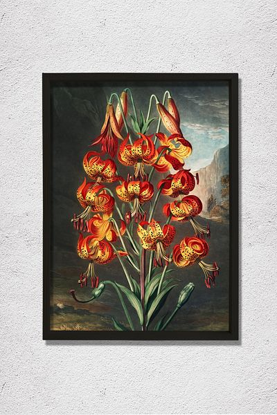 Dekor Loft Liliac superb din Templul Flora 1807 Pictură murală din lemn natural