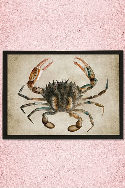 Dekor Loft Pictură murală în cadru de pin natural Crab antic
