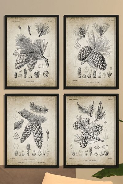 Dekor Loft Set de 4 tablouri de perete cu cadru de pin natural