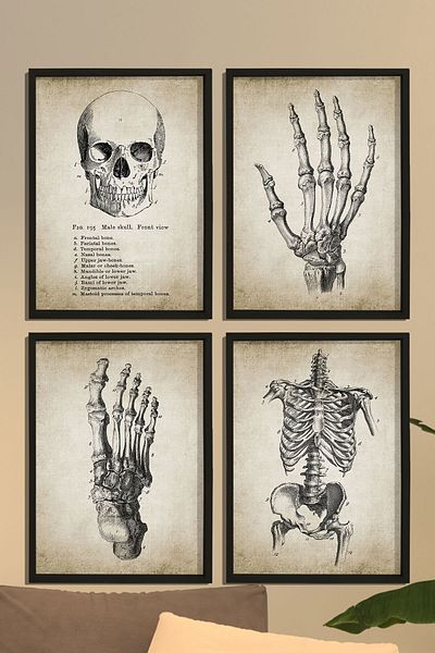 Dekor Loft Diagramă de perete înrămată cu pin natural Anatomia mâinii și corpului uman