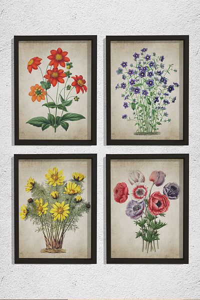 Dekor Loft Set de 4 tablouri de perete cu rame din pin natural, plante antice