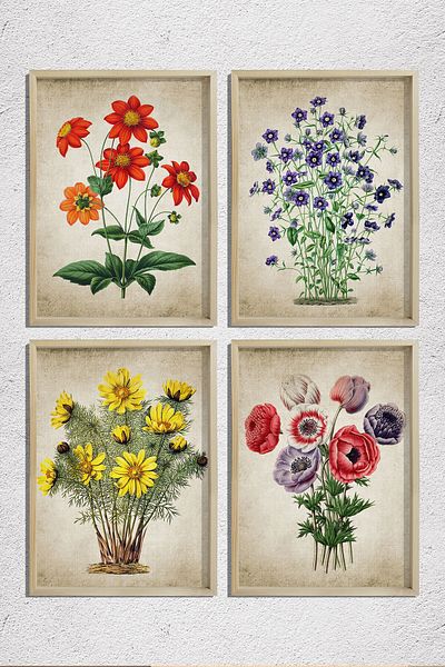 Dekor Loft Set de 4 tablouri de perete cu rame din pin natural, plante antice