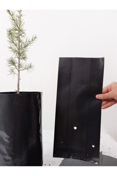 Ekodoğa Fidan Poşeti 22x40 Cm 5 Kg Fide Torbası Fide Poşeti