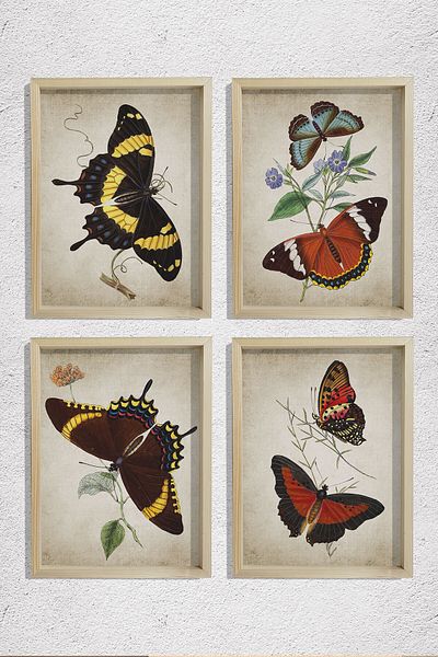 Dekor Loft Set de 4 tablouri de perete cu rame din pin natural Antichity Customs