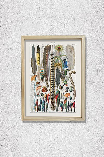 Dekor Loft Feather Collection 1857 Natural Wood Wall Painting