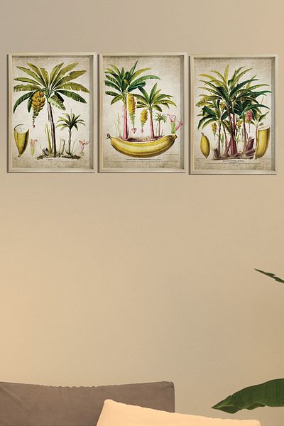 Dekor Loft Pictură de perete într-un cadru de pin natural, banane antice și palmier